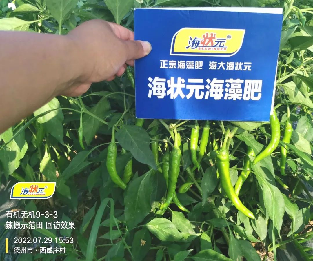 巅峰国际官网-追求康健,你我一起生长