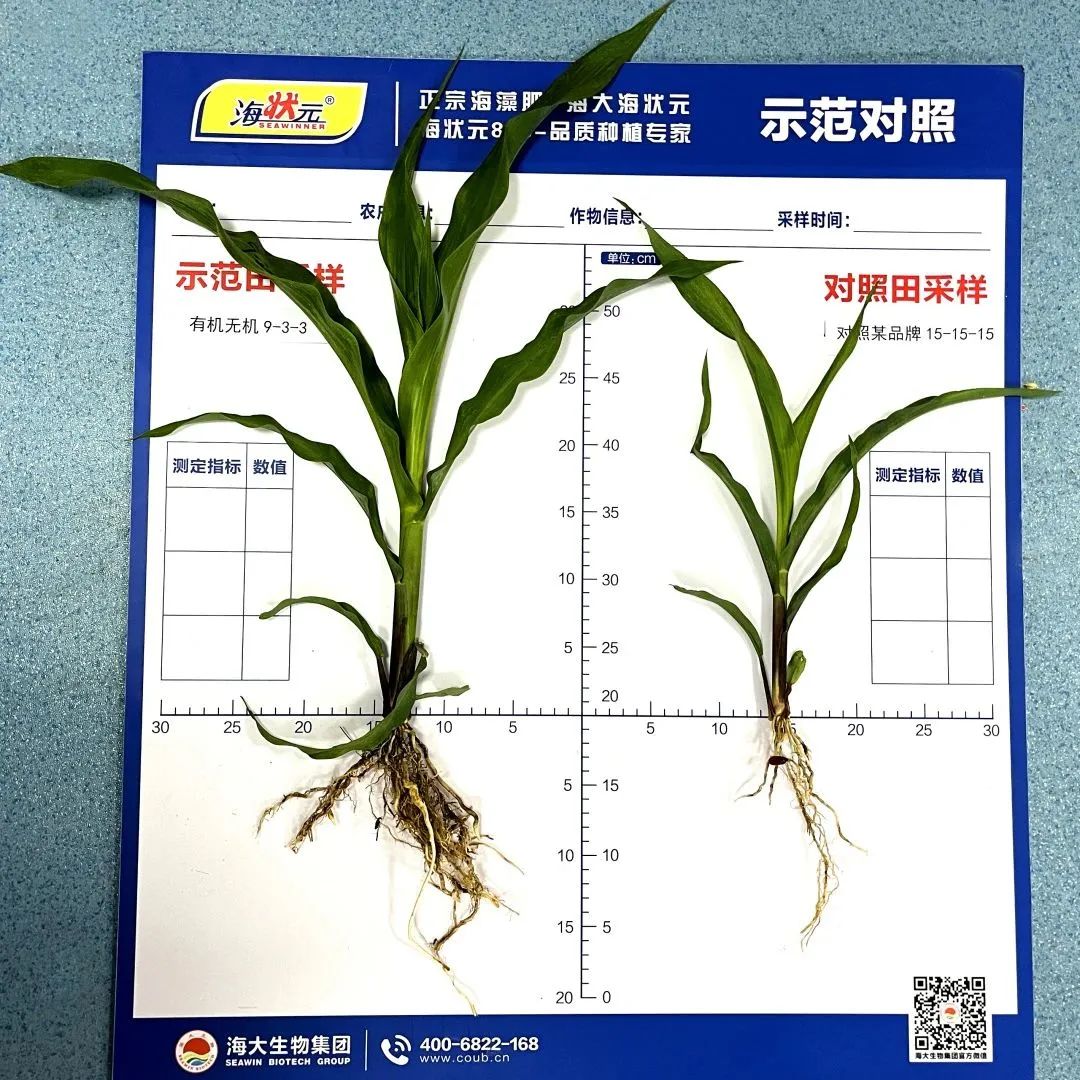 巅峰国际官网-追求康健,你我一起生长