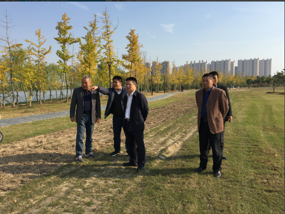 公司重要辅导查抄沉点工程推动情况.3.png